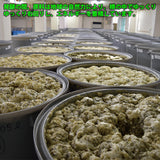 プレミアムエンザイム100(野草酵素濃厚濃縮ペースト)