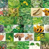 パーフェクトエンザイム720ml