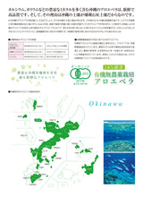 アロエベラジュース ナチュラルピュア 2000ml