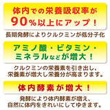 バイオエナジー(クルクミン/ウコン酵素)60g/600粒